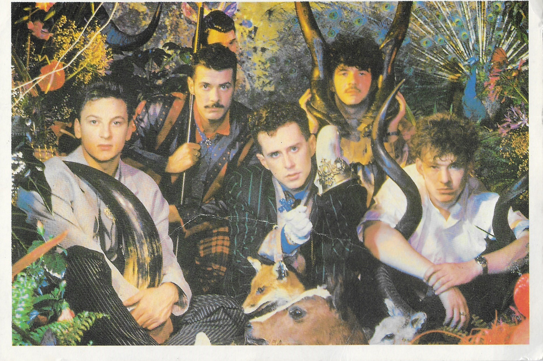 Pleasuredome postcard